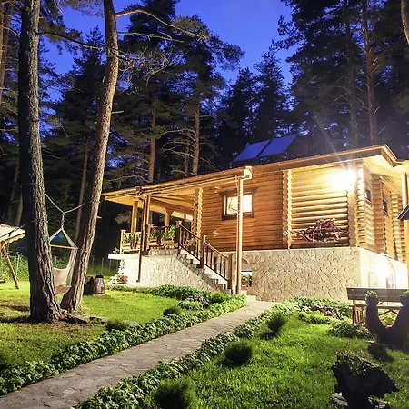 Borovinka Holiday home *