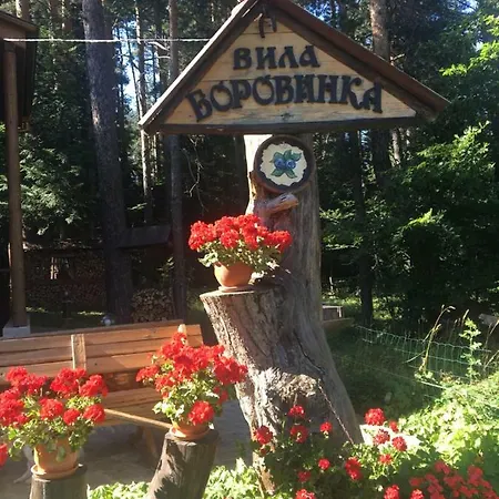 Borovinka *